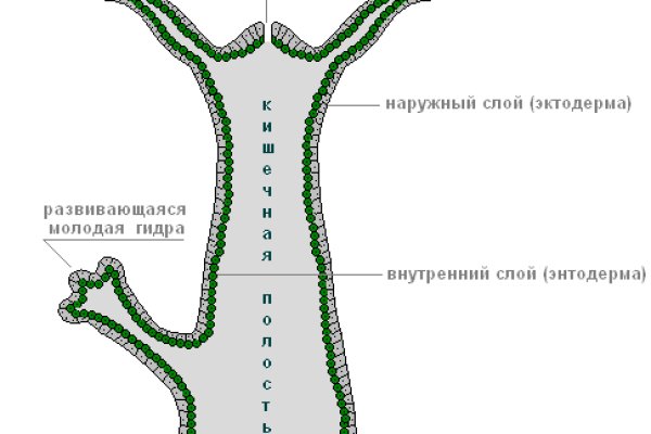 Ссылка омг в тор браузере